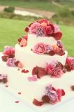 Click here for Cake Designs